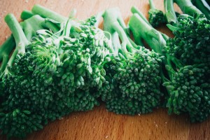 Creamy chicken & broccoli | seefoodplay.com